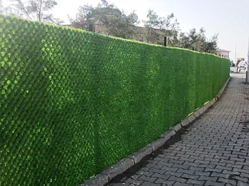 Yaprak Çit